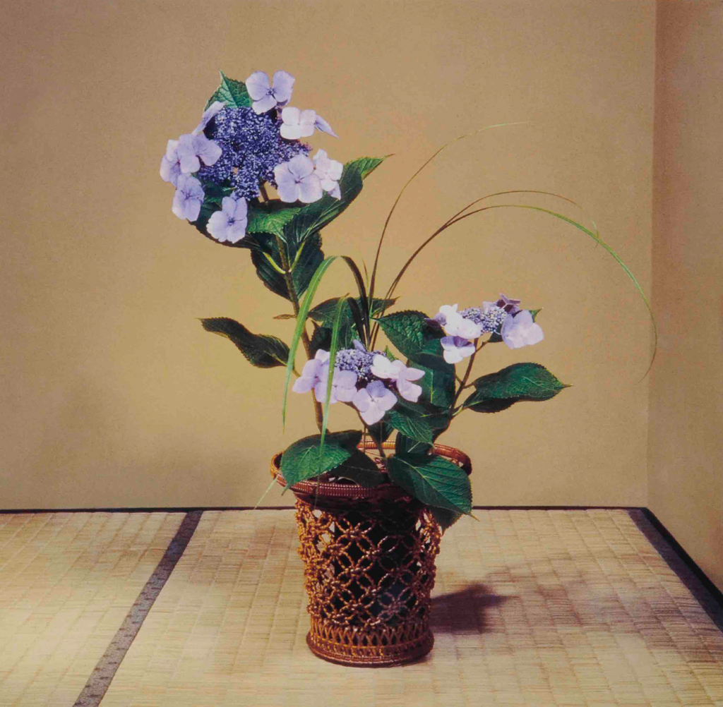 Gaku Hydrangea, Miscanthus sinensis / Flower basket inscription, Tsurumusubi Iizuka Rinsai