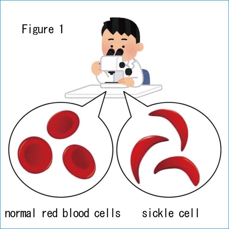 11th Effects of Continued Administration of Okada Purifying Therapy for